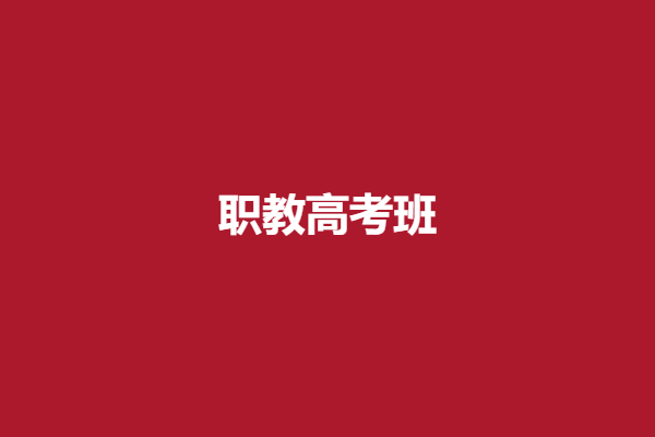 职教高考班.png