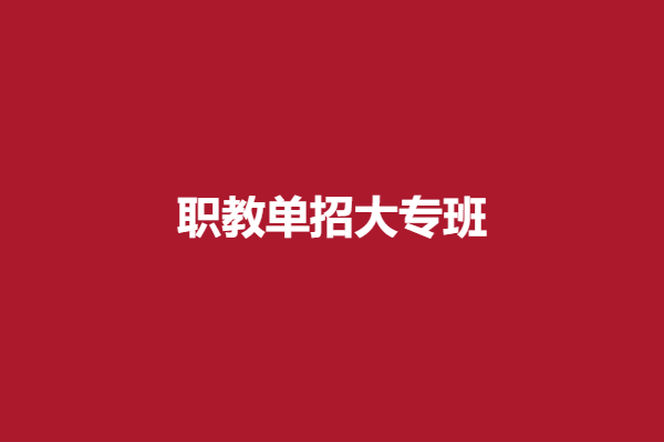 职教单招大专班.png