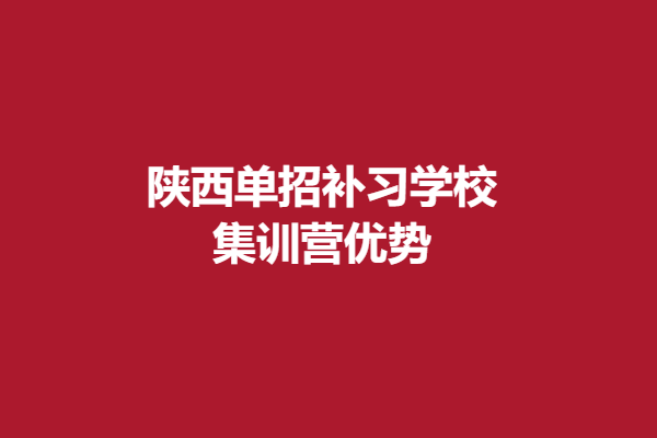 集训营优势.png