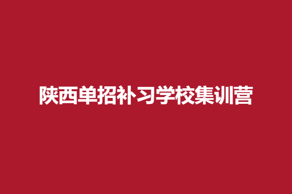 学校集训营.png