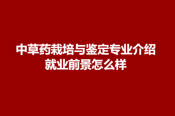 download.png