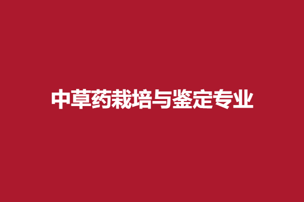 下载 (10).png