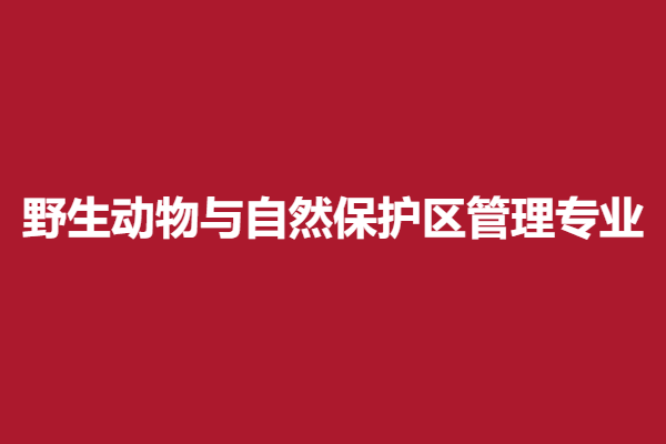 下载 (33).png