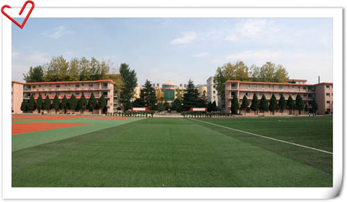20081123212012150.jpg
