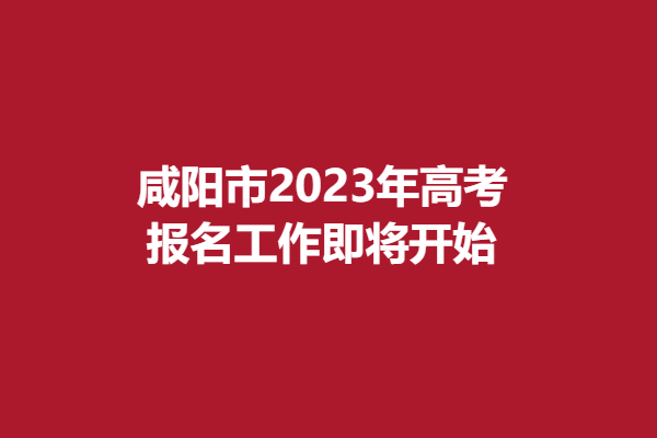 下载 (19).png
